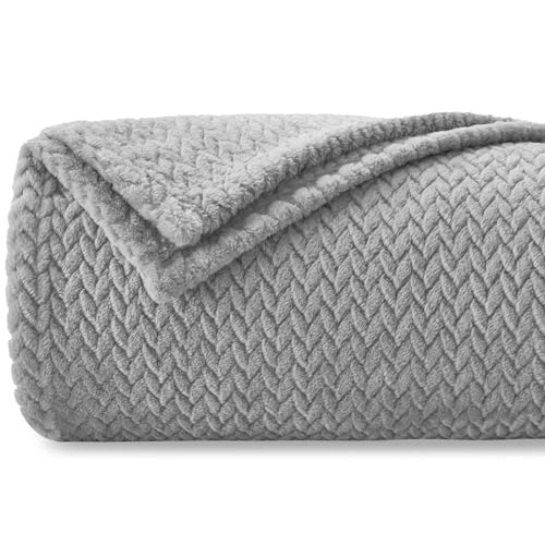 Homebliss Kuscheldecke 220 x 240 cm Flauschig Fleecedecke,Decke Couch Blanket,Super Weiche Fleecedecke als Sofaüberwurf-oder Bettüberwurf,Tagesdecke - Hellgrau von Homebliss
