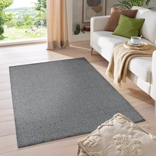 HomebyHome Kurzflor Teppich Einfarbig Robust Gabbeh Optik Wohnzimmerteppich Grau Meliert, Grösse:120x170 cm von HomebyHome