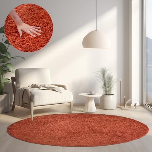 HomebyHome Teppich Wohnzimmer Shaggy Hochflor Terra 120 cm Rund Einfarbig Design - Flauschiger Teppich Schlafzimmer Moderne Extra Weich Pflegeleicht im 14 Farben - Carpet Living Room von HomebyHome