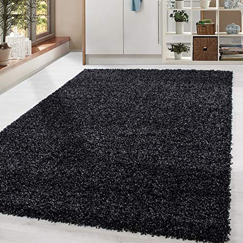 HomebyHome Shaggy Teppich Wohnzimmer (200x300) Flauschiger Teppich 200x290 cm Anthrazit Einfarbig - Hochflor Teppich Schlafzimmer Pflegeleicht Schmutzabweisend - Modern Langflor Teppich Weich Plüsch von HomebyHome