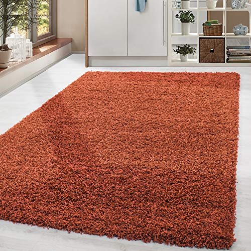 HomebyHome Shaggy Teppich Wohnzimmer 120 x 170 cm - Shaggy Teppich Hochflor Terrakotta Extra Weich und Flauschig - Waschbarer Langflor Teppiche für Schlafzimmer, Küche, Flur - Carpet, Halı, Kilim von HomebyHome