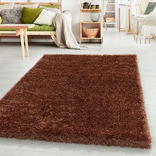 HomebyHome Teppich Wohnzimmer Hochflor Shaggy Kupfer 120x170 cm 50 mm Florhöhe - Teppich Schlafzimmer Langflor Einfarbig Design Moderne und Extra Weich - Teppich Flauschig Läufer Flur Rechteckig von HomebyHome