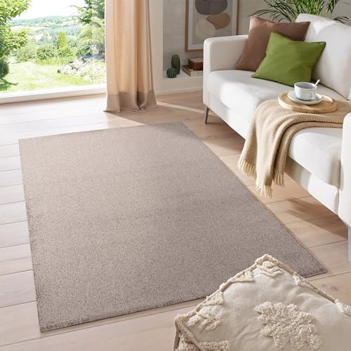 HomebyHome Teppich Wohnzimmer 120x170 cm Beige Einfarbig Design - Schlafzimmer Teppich Kurzflor Extra Weich Pflegeleicht Gabbeh Optik Teppiche für Küche Esszimmer Jugendzimmer Kinderzimmer - Carpet von HomebyHome