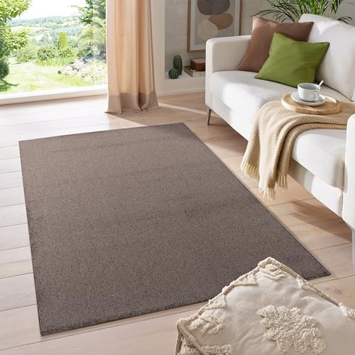 HomebyHome Teppich Wohnzimmer 120x170 cm Mocca Einfarbig Design - Schlafzimmer Teppich Kurzflor Extra Weich Pflegeleicht Gabbeh Optik Teppiche für Küche Esszimmer Jugendzimmer Kinderzimmer von HomebyHome