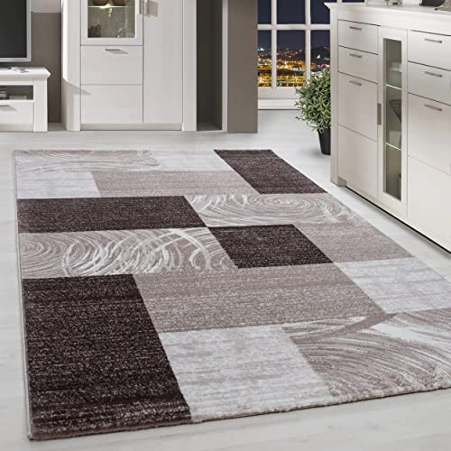 HomebyHome Teppich Wohnzimmer 280x370 cm (3x4 m) Groß Rechteckig Braun Kurzflor Design - XXL Teppich Schlafzimmer, Esszimmer, Küche Flauschiger Extra Weich Tepich Waschbär Einfache Reinigung von HomebyHome
