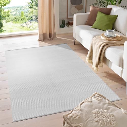 HomebyHome Teppich Wohnzimmer Modern Skandinavische Design 120x170 cm Silber - Kurzflor Küchen Teppich Flauschig Extra Weich Waschbar in Waschmaschine für Schlafzimmer Esszimmer Kinderzimmer von HomebyHome