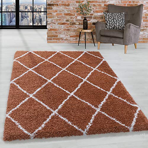 HomebyHome Teppich Wohnzimmer und Schlafzimmer Shaggy Teppich Skandinavisch Raute Design Terra und Weiss 160x230 cm - Hochflor Teppich Wohnzimmer Extra Weich Pflegeleicht - Carpet Living Room von HomebyHome