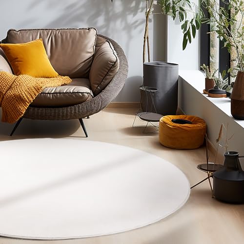 Homebyhome Teppich Wohnzimmer 160 cm Rund Natur Waschbarer Kurzflor Teppiche Einfarbig Moderne Design - Küchenteppich Waschbar Rutschfest Extra Weich Flauschiger Teppiche für Schlafzimmer Kinderzimmer von HomebyHome