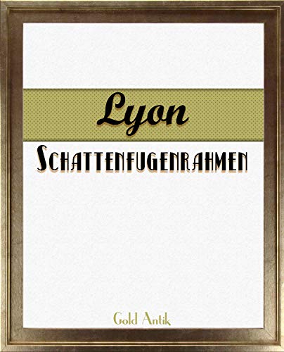 Homedeco-24 Lyon Schattenfugenrahmen 20x50 cm in Gold Antik ohne Verglasung ideal für Canvas Leinwand Bilder Farbwahl von Homedeco-24