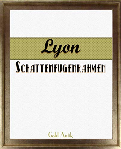 Homedeco-24 Lyon Schattenfugenrahmen 40x40 cm in Gold Antik ohne Verglasung ideal für Canvas Leinwand Bilder Farbwahl Homedeco-24 Lyon Schattenfugenrahmen 40x40 cm in Gold Antik ohne Verglasung ideal für Canvas Leinwand Bilder Farbwahl von Homedeco-24