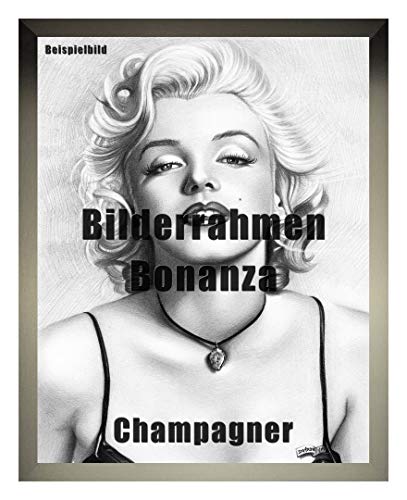 Homedecoration Bilderrahmen Bonanza Bildgröße 35 x 45 cm in Champagner mit Acrylglas klar 1 mm in 52 Farben von Homedecoration