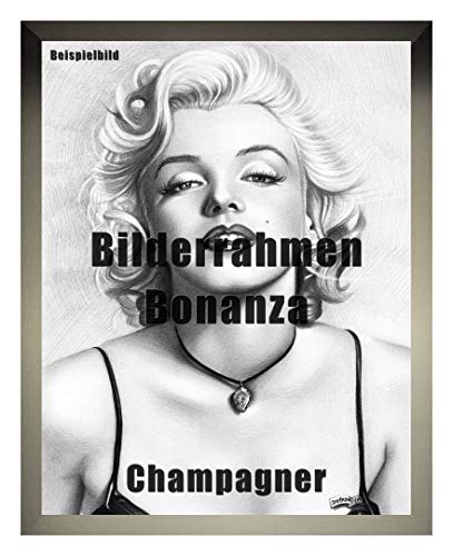 Homedecoration Bilderrahmen Bonanza Bildgröße 45 x 60 cm in Champagner mit Acrylglas klar 1 mm in 52 Farben von Homedecoration