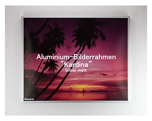 Homedecoration Bilderrahmen Kardina 21 x 90 cm aus echtem Aluminium in Silber matt mit 1 mm klarem Kunstglas von Homedecoration