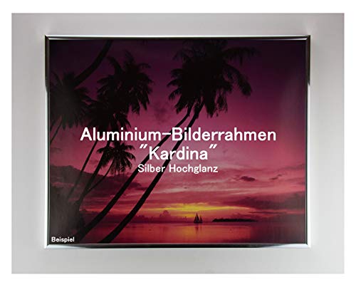 Homedecoration Bilderrahmen Kardina 35 x 50 cm aus echtem Aluminium in Silber Glanz mit 1 mm Antireflex Kunstglas von Homedecoration