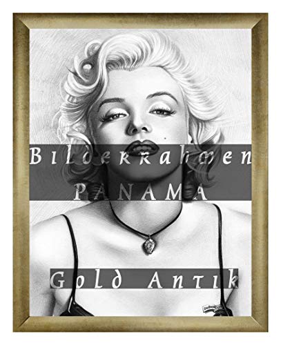 Homedecoration Bilderrahmen Panama 20 x 35 cm Gold Antik mit Acrylglas Antireflex 1 mmm von Homedecoration