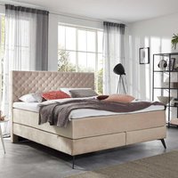 Boxspring Bett aus Samt in Beige Chesterfield Look von Homedreams