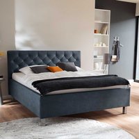 Gepolstertes Bett in Blaugrau Microfaser 55 cm Einstiegshöhe von Homedreams