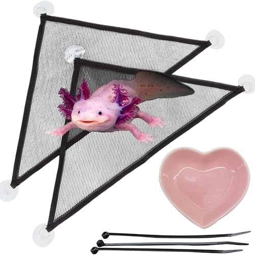 Axolotl Hängematte für Aquarium und Keramik Futternapf, Axolotl Hängematte, Reptilien-Dreieck-Hängematten mit Tablett-Futterstation, Axolotls Zubehör für Tank, Bartagamen-Tankzubehör (Schwarz, M) Axolotl Hängematte für Aquarium und Keramik Futternapf, Axolotl Hängematte, Reptilien-Dreieck-Hängematten mit Tablett-Futterstation, Axolotls Zubehör für Tank, Bartagamen-Tankzubehör (Schwarz, M) von Homedy Crafts