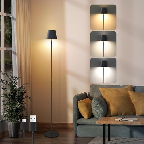 Homefire LED Stehlampe Dimmbar Wohnzimmer Stehleuchte: Schwarz Standleuchte Modern USB Akku Steh lampe mit 3 Farbtemperaturen 3000K-6500K für Schlafzimmer Arbeitszimmer und Büro von Homefire