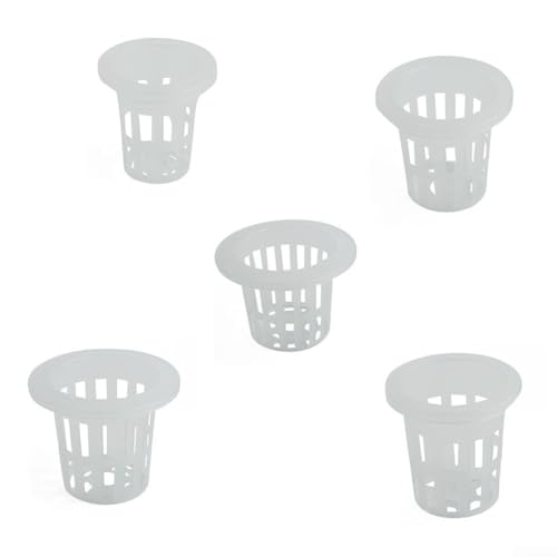 50 Stück transparente Pflanzkörbe für optimalen Gemüsewurzelschutz (G) von Homefurnishmall