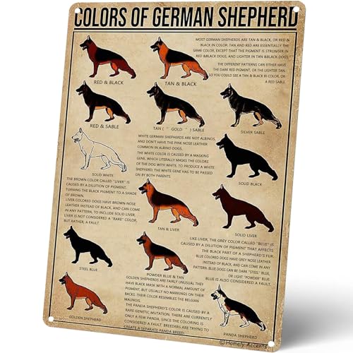 Homely Accents Metall-Blechschild im Vintage-Stil, Motiv: Deutscher Schäferhund, pädagogisches Poster für Hundeliebhaber, Kinder, für Bauernhaus, Badezimmer, Café, Club, Klassenzimmer, Wanddekoration, Homely Accents Metall-Blechschild im Vintage-Stil, Motiv: Deutscher Schäferhund, pädagogisches Poster für Hundeliebhaber, Kinder, für Bauernhaus, Badezimmer, Café, Club, Klassenzimmer, Wanddekoration, von Homely Accents