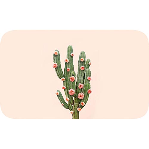 Homemania Badteppich Kaktus 2, wasserfest, Mehrfarbig, aus Mikro-Polyamid von Homemania