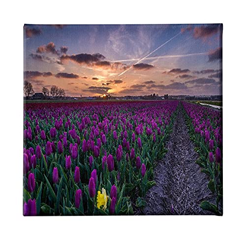 Homemania Bild Blumen Natur und Landschaften für Wohnzimmer, Schlafzimmer, mehrfarbig, 60 x 3 x 60 cm, -HM20KNV60 x 60 – 202, Polyester, Holz von Homemania