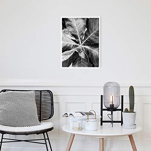 Homemania Bild Tropical Natur für Wohnzimmer Weiß Schwarz aus Kiefernholz 30 x 40 cm von Homemania