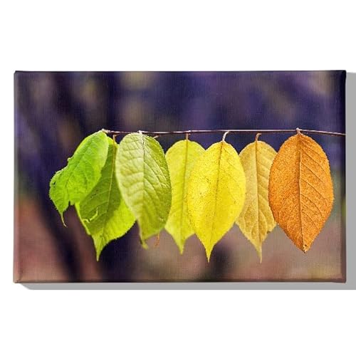 Homemania Farbbild, Natur, für Wohnzimmer, Schlafzimmer, Mehrfarbig, Polyester, Holz, 45 x 3 x 70 cm, HM20KNV45x70-271 von Homemania