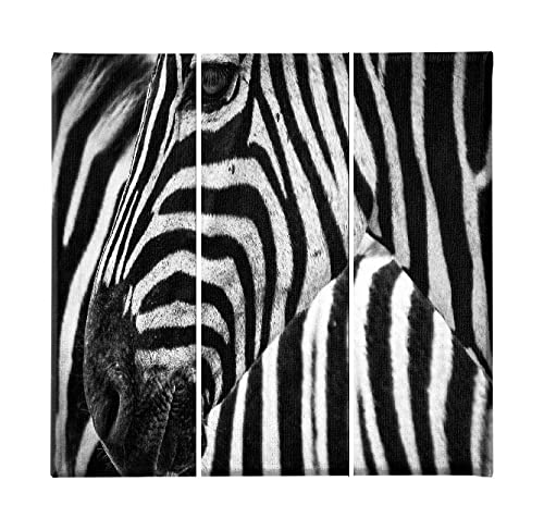 Homemania HM203PKNV-239 Zebra-Bild, 3-teilig, Tiere, Wohnzimmer, Schlafzimmer, Mehrfarbig, Polyester, Holz, 69 x 3 x 50 cm von Homemania