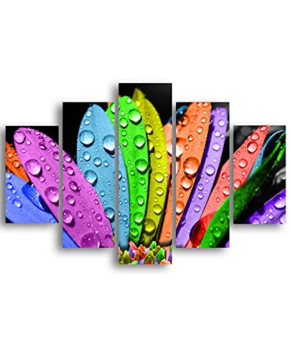 Homemania HM205MDF026 Bild der Farbwelt – 5 Stück – Natur – von Wohnzimmer – Mehrfarbig – aus MDF, 95 x 0,3 x 60 cm von Homemania