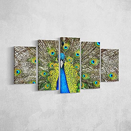 Homemania HM205PKNV-250 Peacock – 5-teiliges Bild – Tiere – von Wohnzimmer – Mehrfarbig aus Polyester, Holz, 100 x 3 x 60 cm von Homemania