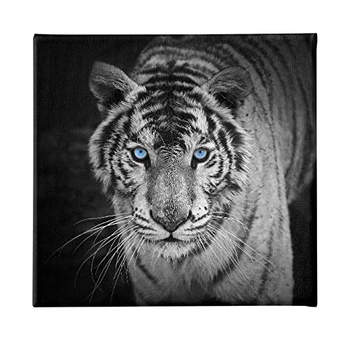 Homemania HM20KNV60x60-169 Bild Feline – Tiere – für Wohnzimmer, Schlafzimmer – Mehrfarbig aus Polyester, Holz, 60 x 3 x 60 cm – HM20KNV60 x 60 – 169 von Homemania