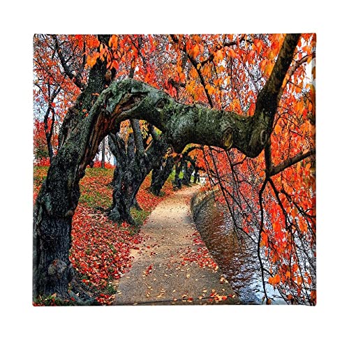 Homemania HM20KNV60x60-224 Bild Baum – Natur und Landschaften – für Wohnzimmer, Schlafzimmer, Mehrfarbig, Polyester, Holz, 60 x 3 x 60 cm von Homemania