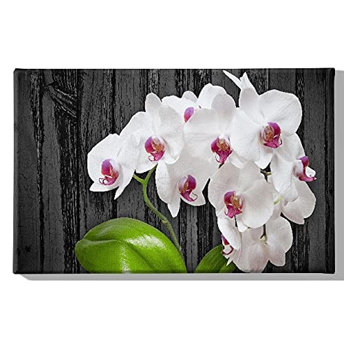 Homemania Wandbild, Blumen, Natur, für Wohnzimmer, Schlafzimmer, mehrfarbig, 45 x 3 x 70 cm, -HM20KNV45 x 70 – 202, Polyester, Holz von Homemania