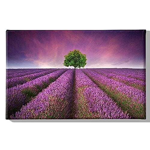 Homemania Wandbild, Motiv: Blumen, Natur und Landschaft, für Wohnzimmer, Schlafzimmer, mehrfarbig, 45 x 3 x 70 cm, -HM20KNV45 x 70 – 138, Polyester, Holz von Homemania