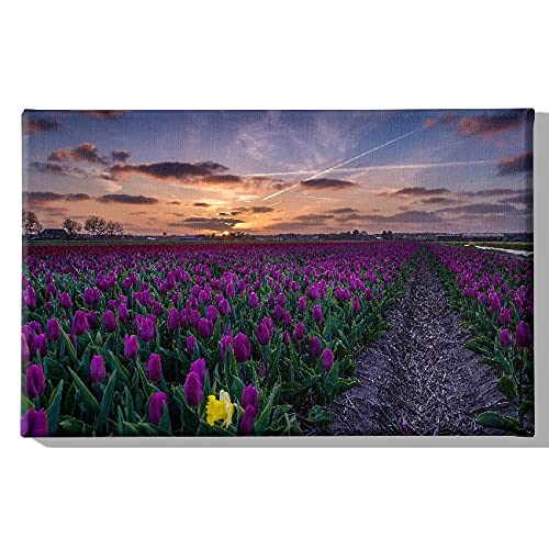 Homemania Wandbild, Motiv: Blumen, Natur und Landschaft, für Wohnzimmer, Schlafzimmer, mehrfarbig, 45 x 3 x 70 cm, -HM20KNV45 x 70 – 210, Polyester, Holz von Homemania