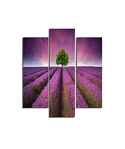 Homemania Wandbild, Violett, 3 Stück, Natur und Landschaften pro Wohnzimmer, Schlafzimmer, Mehrfarbig, 57 x 0,3 x 60 cm, -HM203MDF45, MDF von Homemania
