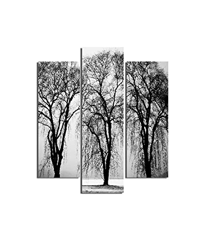 Homemania Wandbild, Winter, 3 Stück, Natur und Landschaften pro Wohnzimmer, Schlafzimmer, Mehrfarbig, 57 x 0,3 x 60 cm, -HM203MDF93, MDF von Homemania