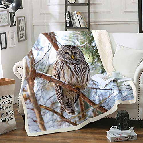 Homemissing Eule Wohndecke 3D Tier Druckened Decke 150x200cm für Kinder Jugendliche Vogel Dekor Kuscheldecke Schlafzimmer Dekor Natur Thema Zimmer Dekor Flanell Fleecedecke von Homemissing