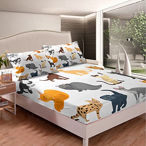 Katzen Spannbettlaken 90x200cmSüß Katze Tier Druckened Spannbetttuch für Kinder Jungen Pet Katze Thema Design Bettlaken Set Schöne Verschiedene Katzentiere Schlafzimmer Kollektion 2St von Homemissing