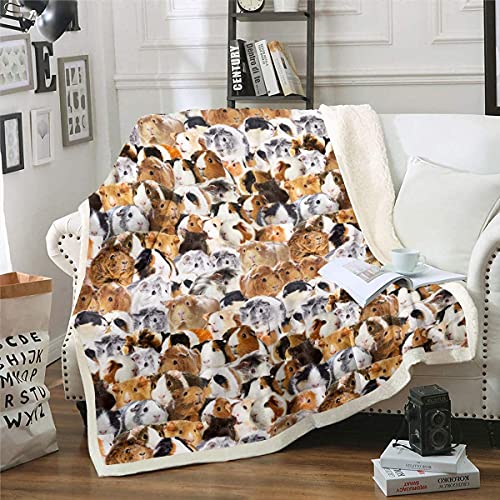 Kinder Meerschweinchen Flanell Fleecedecke Kinder Niedliche Meerschweinchen TierDecke 130x150cm für Schlafsofa Couch Schönes Lustiges Haustier Muster Wohndecke Ultra Weiche Wärme Kuscheldecke von Homemissing