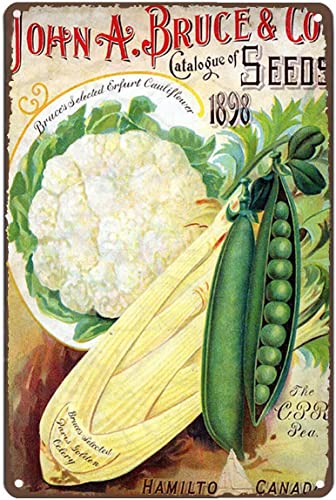 Blechschild im Vintage-Stil, vegan, vegetarisches Kochen, Lebensmittel, Bauernhof, Wanddekoration, 15,2 x 20,3 cm von Homeoanimal