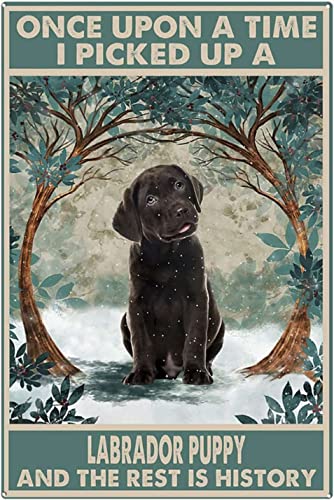 Vintage Metallschild Labrador Puppy Once Upon a Time Vintage Blechschild Lustige Schilder Wanddekoration für Haus Garten Bar Outdoor Wohnzimmer 15,2 x 20,3 cm von Homeoanimal