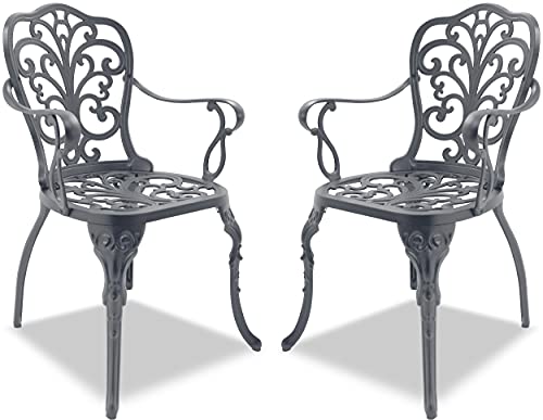 Homeology Bangui Gartenstühle mit Armlehnen, Aluminiumguss, Grau, 2 Stück von Homeology
