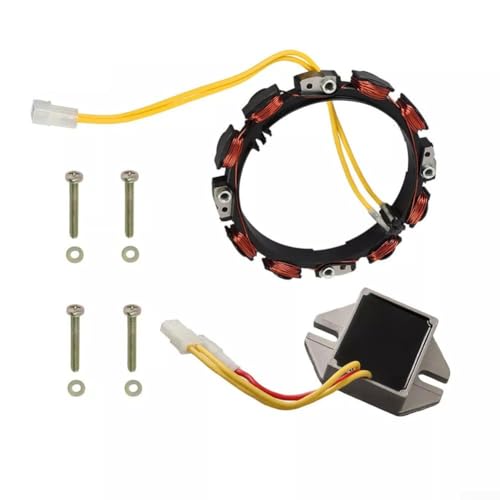 696458 Lichtmaschine für Stator mit Spannungsregler für Motor passend für 21B902 0022 E9, 21B907 0152 B1, alle Montageschrauben von Homeponnew