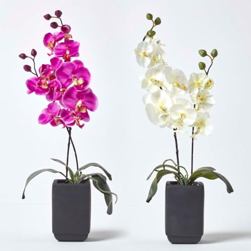 Homescapes 2er-Set Künstliche Orchideen im Topf, pink & Creme, 55 cm, Kunst-Orchideen wie echt im schwarzen Keramik-Topf von Homescapes
