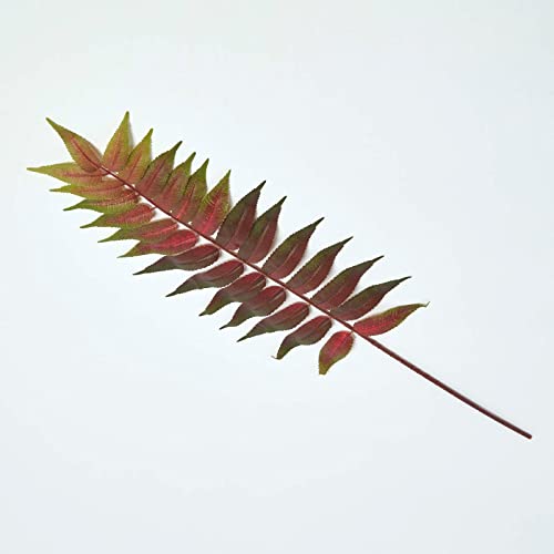 Homescapes Bowenia Farnblatt künstlich grün-rot 72 cm, schöne Deko-Blätter Palmfarn von Homescapes