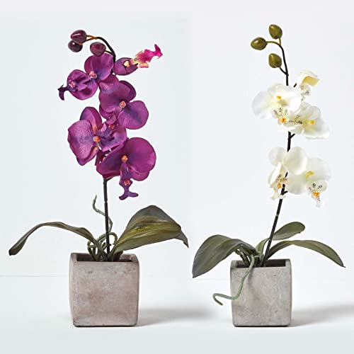 HOMESCAPES 2er-Set Künstliche Orchideen im Topf – lila & weiß, 40 cm, Kunst-Orchideen wie echt im Topf in Beton-Optik von Homescapes