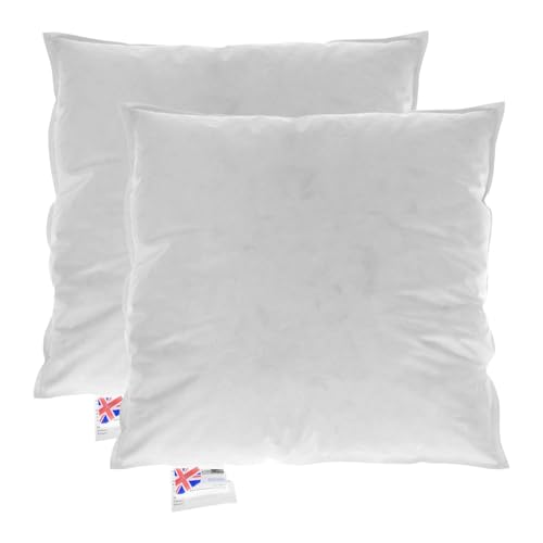 Homescapes Füllkissen 50x50 cm – 2er-Set Federkissen mit Daunen & Baumwollbezug, Kissenfüllung/Innenkissen für Dekokissen wie Sofakissen & Bettkissen oder kleine Kopfkissen Homescapes Füllkissen 50x50 cm – 2er-Set Federkissen mit Daunen & Baumwollbezug, Kissenfüllung/Innenkissen für Dekokissen wie Sofakissen & Bettkissen oder kleine Kopfkissen von Homescapes